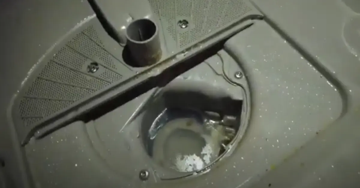 How to Clean the Bosch Dishwasher Drain Pump